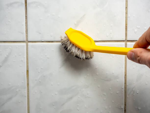 Best Fast Mold Removal  in Palm Desert, CA