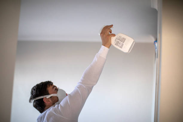 Best Same-Day Mold Removal  in Palm Desert, CA