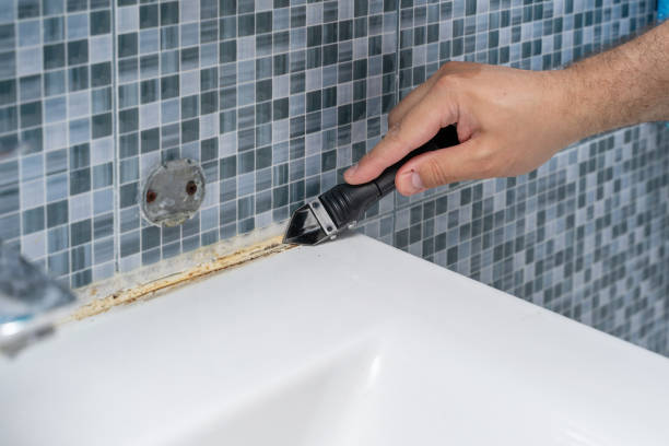 Best Best Mold Removal Companies  in Palm Desert, CA