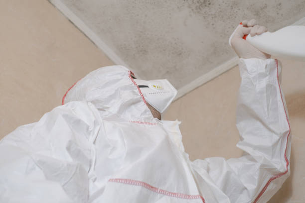 Best Emergency Mold Removal  in Palm Desert, CA