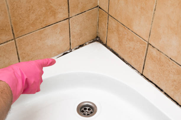 Best Certified Mold Removal  in Palm Desert, CA
